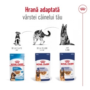 Royal Canin Maxi Adult, hrana umeda caine (in sos), 10 x 140G - Img 8