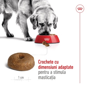Royal Canin Maxi Ageing 8+, hrana uscata caine senior, 15KG - Img 5