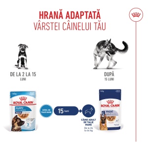 Royal Canin Maxi Puppy, hrana umeda caine junior (in sos), 10 x 140G - Img 4