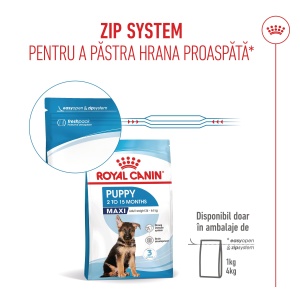Royal Canin Maxi Puppy, hrana uscata caine junior, 12KG - Img 2