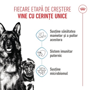 Royal Canin Maxi Starter Mother & BabyDog, mama si puiul, hrana uscata caini, 4KG - Img 9