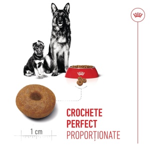 Royal Canin Maxi Starter Mother & BabyDog, mama si puiul, hrana uscata caini, 15KG - Img 8