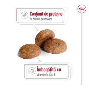 Royal Canin Medium Adult 7+, hrana uscata caine, 15KG - Img 4