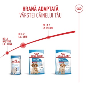 Royal Canin Medium Starter Mother & BabyDog, mama si puiul, hrana uscata caini, 4KG - Img 5