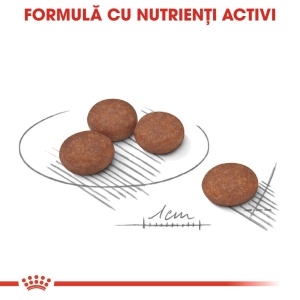 Royal Canin Mini Digestive Care, hrana uscata caine, confort digestiv, 8KG - Img 4