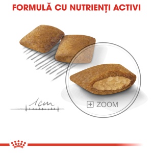 Royal Canin Mini Exigent, hrana uscata caine, apetit capricios, 1KG - Img 4