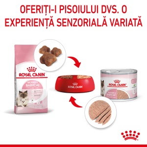 Royal Canin Mother & BabyCat, hrana umeda pisica, mama si puiul (textura spumoasa), 195G - Img 8
