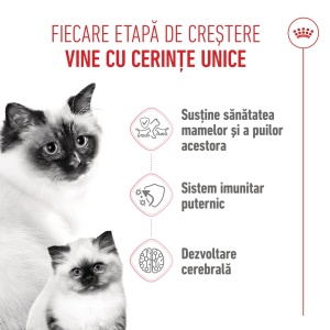 Royal Canin Mother & BabyCat, hrana uscata pisica, mama si puiul, 2KG - Img 3