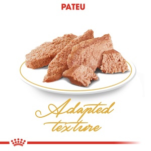 Royal Canin Persian Adult, hrana umeda pisica (pate), 12 x 85G - Img 4