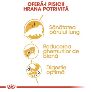 Royal Canin Persian Adult, hrana uscata pisica, 10KG - Img 7