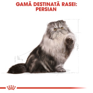 Royal Canin Persian Adult, hrana uscata pisica, 400G - Img 3