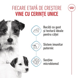Royal Canin Starter Mousse, mama si puiul, hrana umeda caine (textura spumoasa), 195G - Img 2