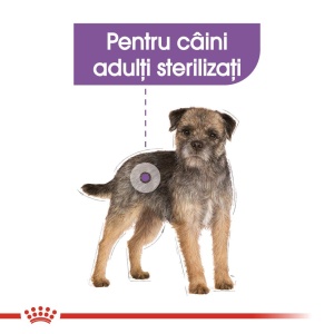 Royal Canin Sterilised Adult, hrana umeda caine sterilizat (pate), 12 x 85G - Img 3