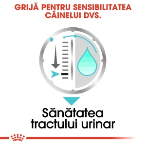 Royal Canin Urinary Care Adult, hrana umeda caine, sanatatea tractului urinar (pate), 12 x 85G - Img 4