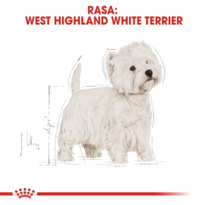Royal Canin West Highland Terrier, Adult hrana uscata caine Westie, 1.5KG - Img 3