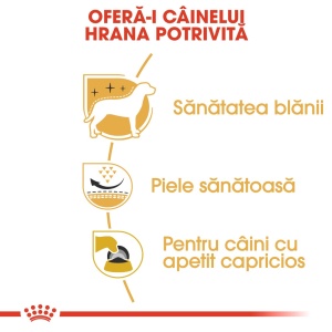 Royal Canin West Highland Terrier, Adult hrana uscata caine Westie, 3KG - Img 5
