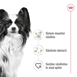 Royal Canin X-Small Adult, hrana uscata caine, 500G - Img 2