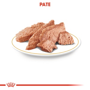 Royal Canin Yorkshire Terrier Adult, hrana umeda caine (pate), 12 x 85 g - Img 3