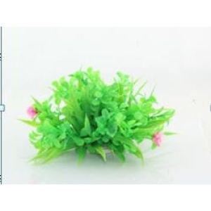 Planta decorativa pentru acvariu Cardamine Lyrata Enjoy, 10cm