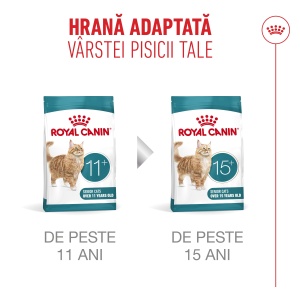 Royal Canin Ageing Sterilised 11 +, hrana uscata pentru pisici senioare sterilizate, 400G - Img 10