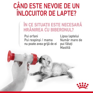Royal Canin BabyCat Milk ,inlocuitor lapte matern pisica, 300G - Img 8