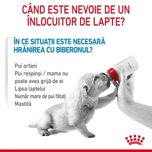 Royal Canin Babydog Milk, inlocuitor lapte matern caine, 400G - Img 8