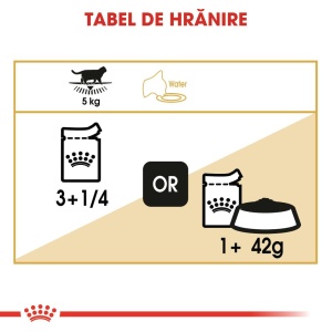 Royal Canin British Shorthair Adult, hrana umeda pisica (in sos), 12 x 85G - Img 7