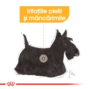 Royal Canin Dermacomfort Adult, hrana umeda caine, prevenirea iritatiilor pielii (pate), 12 x 85G - Img 3
