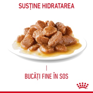 Royal Canin Hair&Skin Care Adult, hrana umeda pisica, piele si blana (in aspic), 12 x 85G - Img 11
