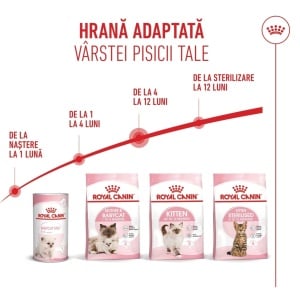 Royal Canin Kitten, hrana uscata pisica junior, 10KG - Img 6