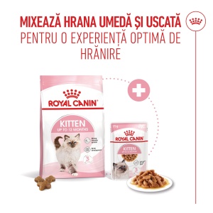 Royal Canin Kitten, hrana uscata pisica junior, 400G - Img 7