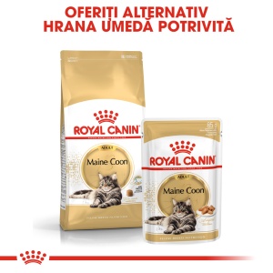 Royal Canin Maine Coon Adult, hrana uscata pisica, 4KG - Img 4