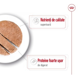Royal Canin Maxi Adult, hrana umeda caine (pate), 10 x 140G - Img 2