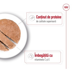 Royal Canin Medium Adult, hrana umeda caine (pate), 10 x 140G - Img 5