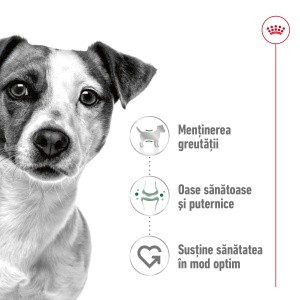 Royal Canin Mini Adult, hrana uscata caine, 8KG - Img 10