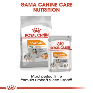Royal Canin Mini Coat Care Adult, hrana uscata caine, blana sanatoasa si lucioasa, 3KG - Img 5