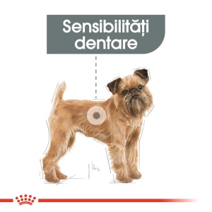 Royal Canin Mini Dental Care Adult, hrana uscata caine, reducerea formarii tartrului, 1KG - Img 2