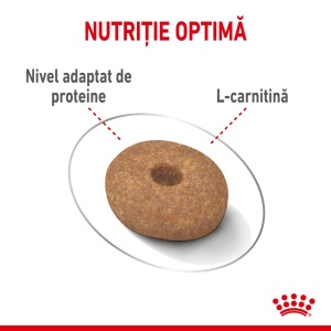 Royal Canin Mini Light Weight Care Adult, hrana uscata caine, limitarea cresterii in greutate, 8KG - Img 4