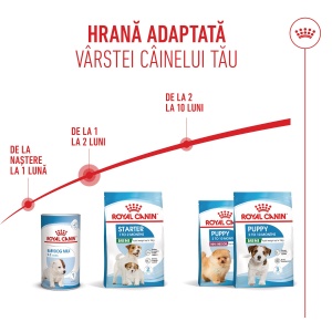 Royal Canin Mini Starter Mother & BabyDog, mama si puiul, hrana uscata caini, 1KG - Img 6