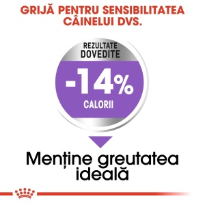 Royal Canin Mini Sterilised Adult, hrana uscata caine sterilizat, 8KG - Img 6