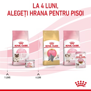 Royal Canin Mother & BabyCat, hrana umeda pisica, mama si puiul (textura spumoasa), 195G - Img 5