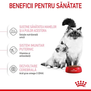 Royal Canin Mother & BabyCat, hrana uscata pisica, mama si puiul, 2KG - Img 10