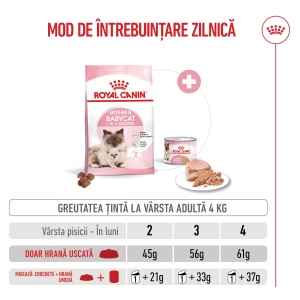 Royal Canin Mother & BabyCat, hrana uscata pisica, mama si puiul, 400G - Img 11
