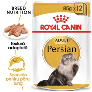 Royal Canin Persian Adult, hrana umeda pisica (pate), 12 x 85G