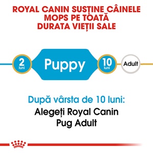 Royal Canin Pug Puppy, hrana uscata caine junior, 1.5KG - Img 6