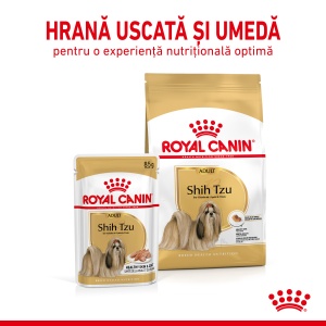 Royal Canin Shih Tzu Adult, hrana umeda caine (pate), 12 x 85G - Img 7