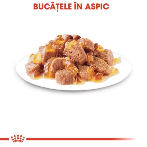 Royal Canin Sterilised Adult, hrana umeda pisica sterilizata (in aspic), 12 x 85g - Img 4