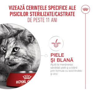 Royal Canin Ageing Sterilised 11 +, hrana uscata pentru pisici senioare sterilizate, 400G - Img 7