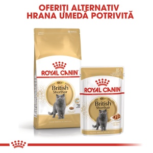 Royal Canin British Shorthair Adult, hrana umeda pisica (in sos), 12 x 85G - Img 4