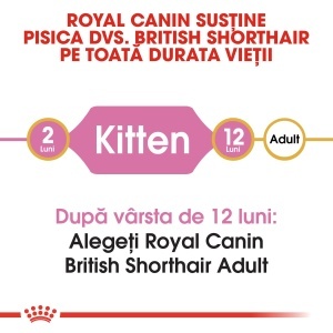 Royal Canin British Shorthair Kitten, hrana uscata pisica junior, 400G - Img 6
